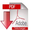 Adobe Reader
